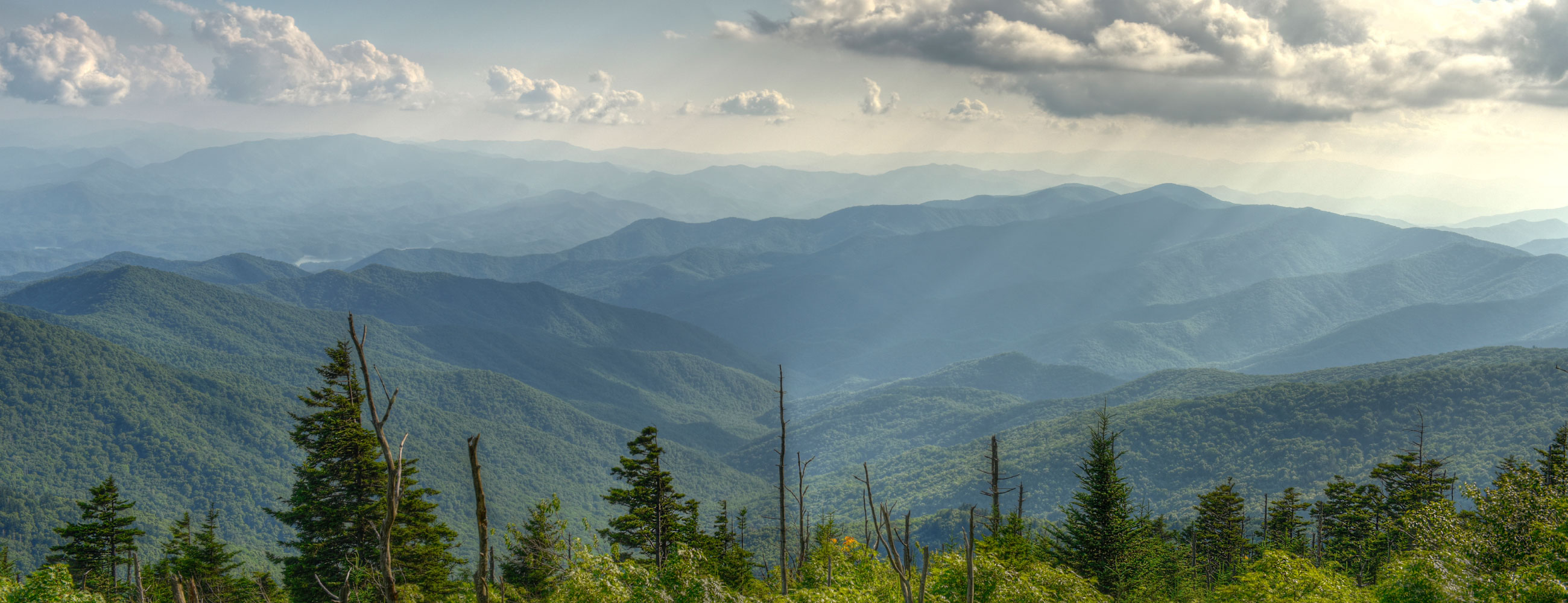 Plus Market Plus Market